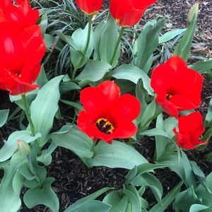 Meet your Posher, Arielle